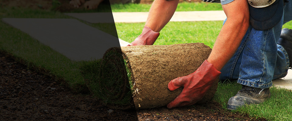 Rosenhayn Landscapers